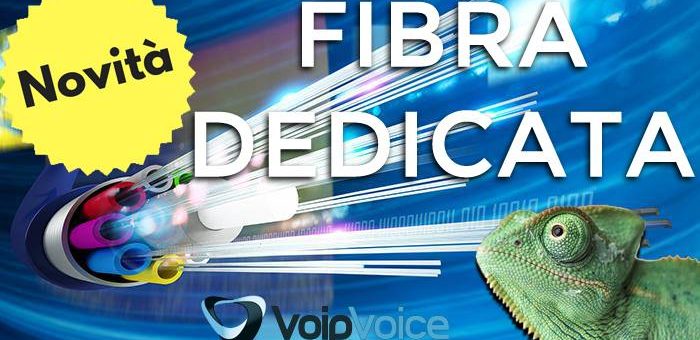 Novità: VoipVoice presenta la possibilità di attivare la FIBRA DEDICATA!