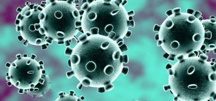 Coronavirus (COVID-19) quali sono i nostri consigli in ambito informatico